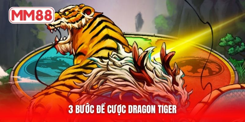 3 bước để cược Dragon Tiger