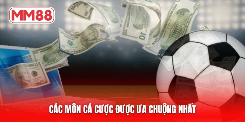 Các môn cá cược được ưa chuộng nhất