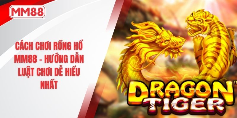 Cách chơi rồng hổ