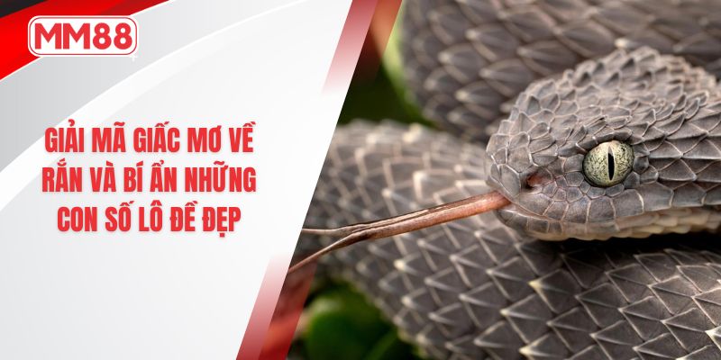 Giải mã giấc mơ về rắn