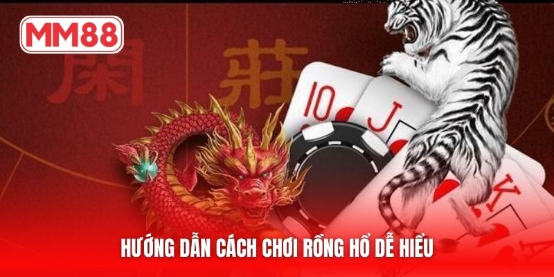 Hướng dẫn cách chơi rồng hổ dễ hiểu